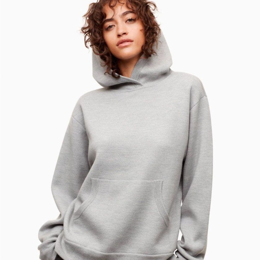 Aritzia - Wilfred Free Banos Hoodie